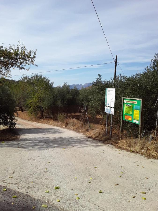 Hacienda La Buena Vida B&B En Appartementen Casita Almendas La Carrera de la Viña Esterno foto