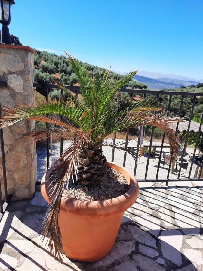 Hacienda La Buena Vida B&B En Appartementen Casita Almendas La Carrera de la Viña Esterno foto