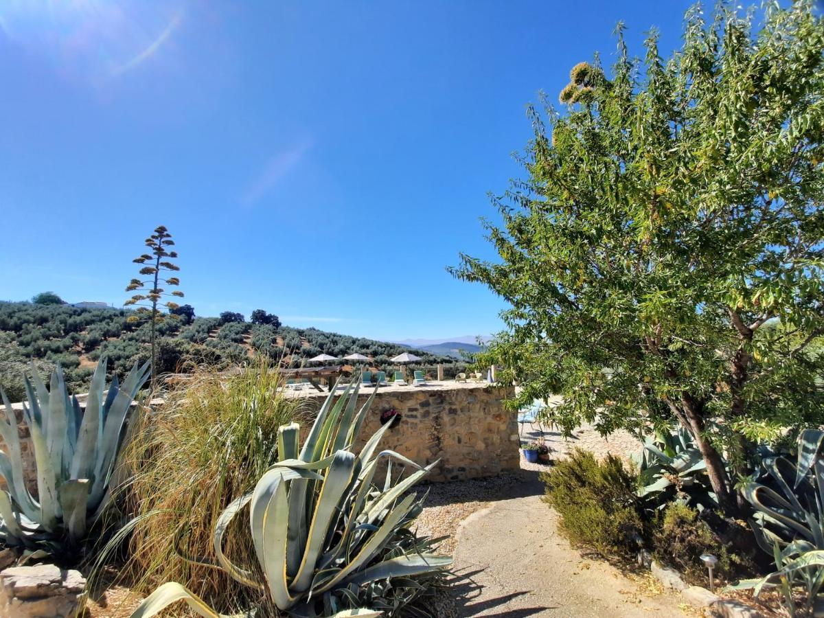 Hacienda La Buena Vida B&B En Appartementen Casita Almendas La Carrera de la Viña Esterno foto
