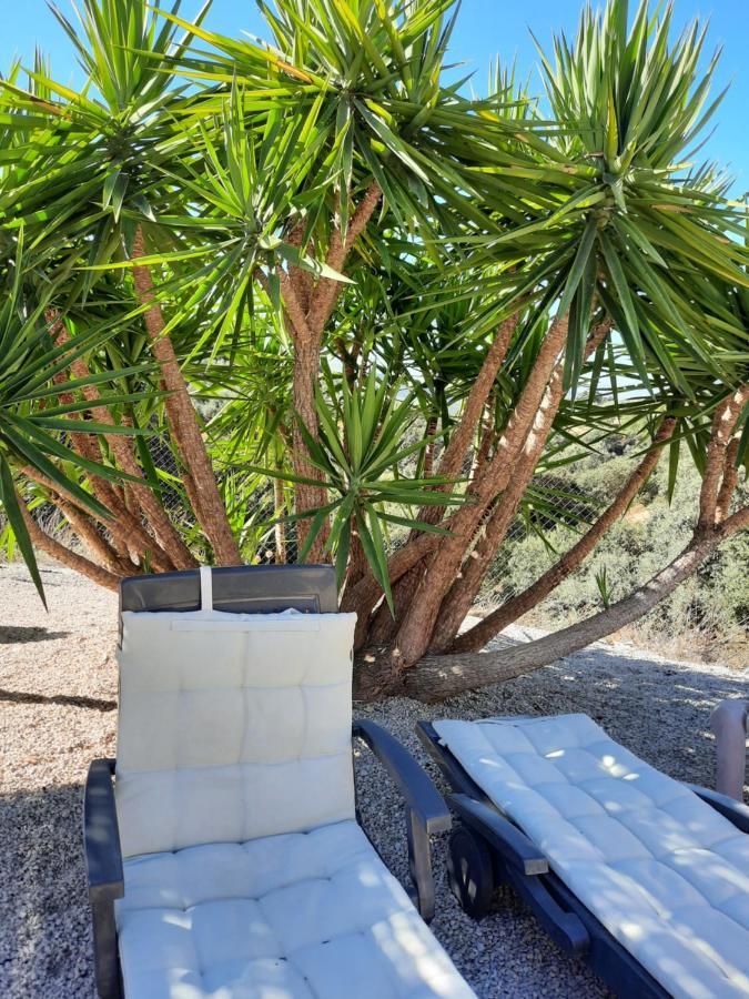 Hacienda La Buena Vida B&B En Appartementen Casita Almendas La Carrera de la Viña Esterno foto