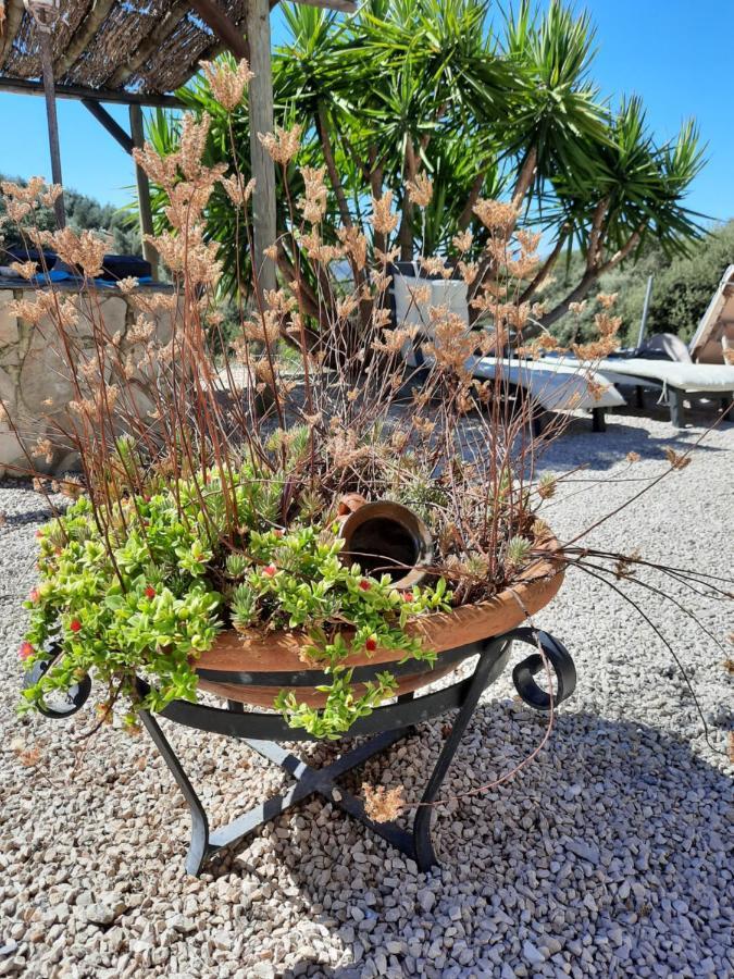 Hacienda La Buena Vida B&B En Appartementen Casita Almendas La Carrera de la Viña Esterno foto