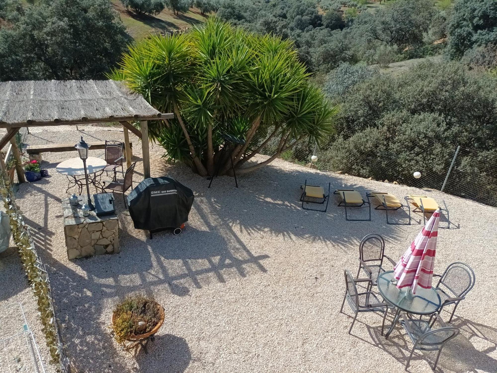 Hacienda La Buena Vida B&B En Appartementen Casita Almendas La Carrera de la Viña Esterno foto